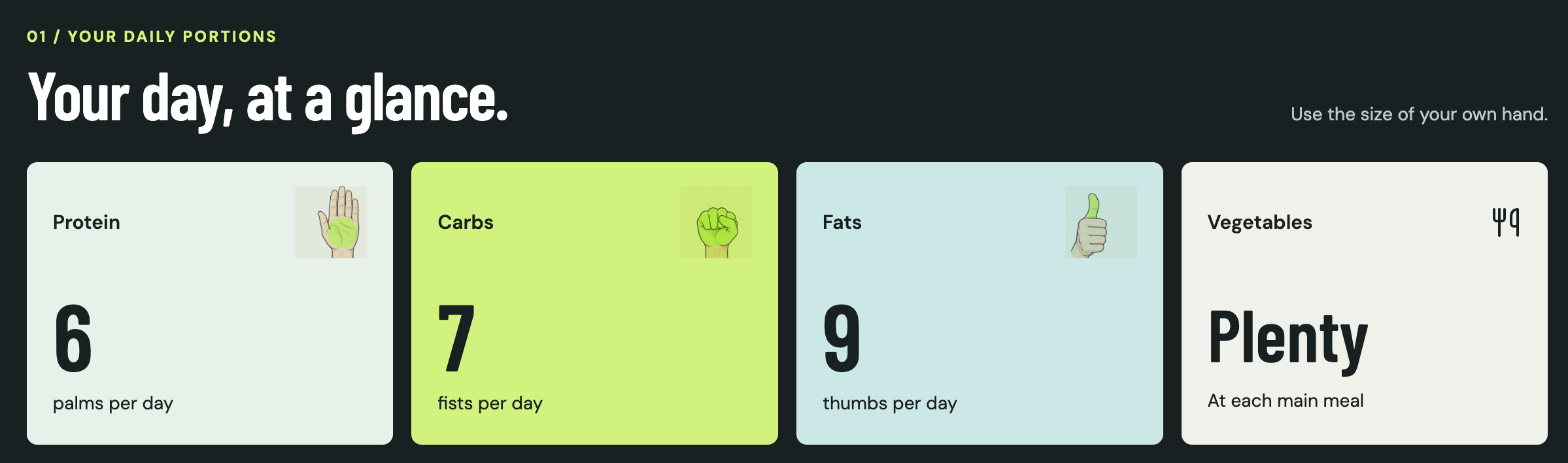 No Scale Plan: example daily portions shown with palms, fists and thumbs